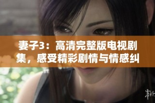 妻子3：高清完整版电视剧集，感受精彩剧情与情感纠葛
