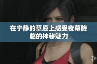 在宁静的草原上感受夜幕降临的神秘魅力