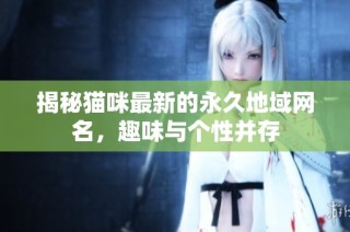 揭秘猫咪最新的永久地域网名，趣味与个性并存