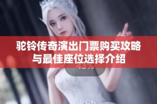 驼铃传奇演出门票购买攻略与最佳座位选择介绍