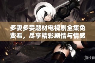 多妻多妾题材电视剧全集免费看，尽享精彩剧情与情感纠葛