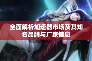 全面解析加速器市场及其知名品牌与厂家信息