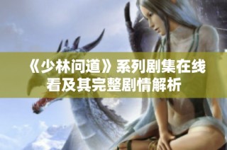 《少林问道》系列剧集在线看及其完整剧情解析