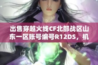 出售穿越火线CF北部战区山东一区账号编号R12DS，机会难得！