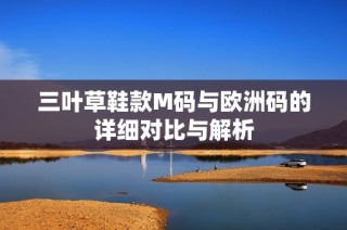 三叶草鞋款M码与欧洲码的详细对比与解析