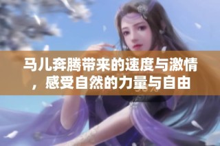 马儿奔腾带来的速度与激情，感受自然的力量与自由