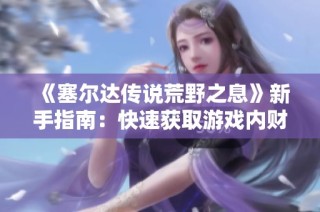《塞尔达传说荒野之息》新手指南：快速获取游戏内财富的技巧分享