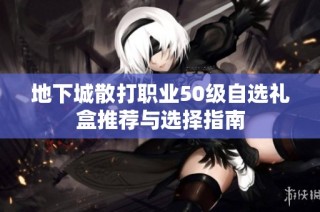 地下城散打职业50级自选礼盒推荐与选择指南