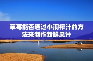 草莓能否通过小洞榨汁的方法来制作新鲜果汁