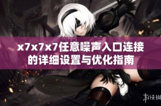 x7x7x7任意噪声入口连接的详细设置与优化指南