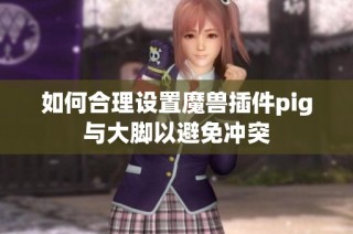 如何合理设置魔兽插件pig与大脚以避免冲突