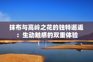 抹布与高岭之花的独特邂逅：生动触感的双重体验