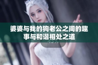 婆婆与我的狗老公之间的趣事与和谐相处之道