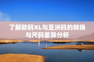 了解欧码XL与亚洲码的转换与尺码差异分析