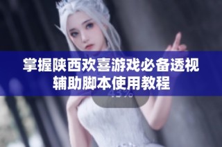 掌握陕西欢喜游戏必备透视辅助脚本使用教程
