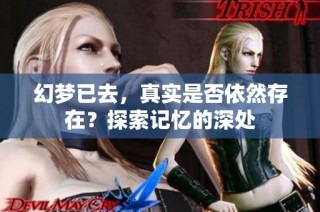 幻梦已去，真实是否依然存在？探索记忆的深处