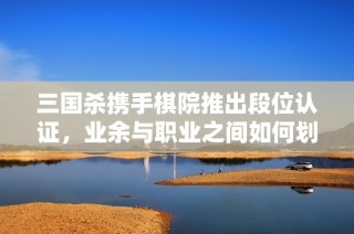 三国杀携手棋院推出段位认证，业余与职业之间如何划分？