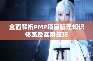 全面解析PMP项目管理知识体系及实用技巧