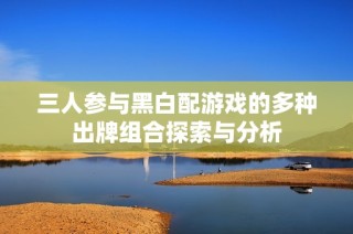 三人参与黑白配游戏的多种出牌组合探索与分析