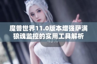 魔兽世界11.0版本增强萨满狼魂监控的实用工具解析