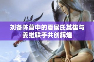 刘备阵营中的夏侯氏英雄与姜维联手共创辉煌