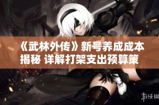 《武林外传》新号养成成本揭秘 详解打架支出预算策略