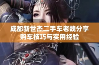 成都新世杰二手车老魏分享购车技巧与实用经验