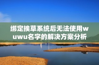 绑定挨草系统后无法使用wuwu名字的解决方案分析