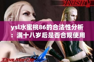 ysl水蜜桃86的合法性分析：满十八岁后是否合规使用