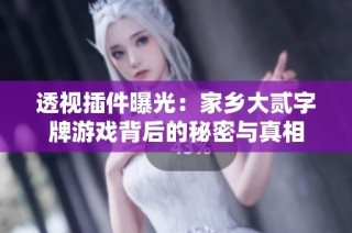 透视插件曝光：家乡大贰字牌游戏背后的秘密与真相