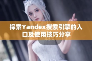 探索Yandex搜索引擎的入口及使用技巧分享