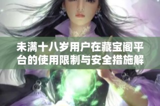 未满十八岁用户在藏宝阁平台的使用限制与安全措施解析