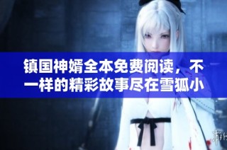 镇国神婿全本免费阅读，不一样的精彩故事尽在雪狐小说网