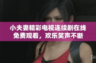 小夫妻精彩电视连续剧在线免费观看，欢乐笑声不断