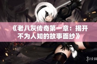 《老八灰传奇第一章：揭开不为人知的故事面纱》