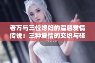 老万与三位媳妇的温馨爱情传说：三种爱情的交织与碰撞