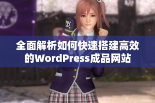 全面解析如何快速搭建高效的WordPress成品网站