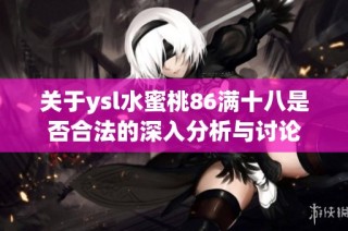 关于ysl水蜜桃86满十八是否合法的深入分析与讨论