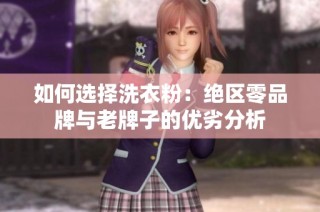 如何选择洗衣粉：绝区零品牌与老牌子的优劣分析