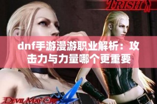 dnf手游漫游职业解析：攻击力与力量哪个更重要