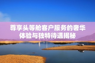 尊享头等舱客户服务的奢华体验与独特待遇揭秘