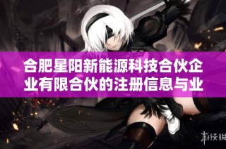 合肥星阳新能源科技合伙企业有限合伙的注册信息与业务概况分析