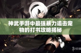 神武手游中最强暴力追击宠物的打书攻略揭秘
