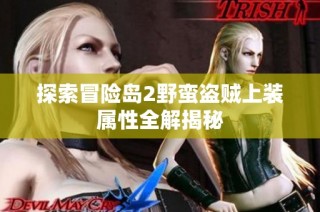 探索冒险岛2野蛮盗贼上装属性全解揭秘