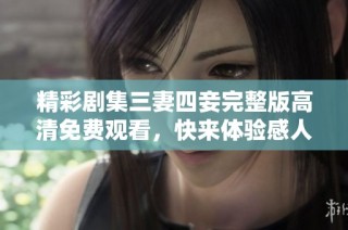 精彩剧集三妻四妾完整版高清免费观看，快来体验感人故事