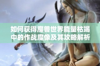如何获得魔兽世界能量枯竭中的作战魔像及其攻略解析