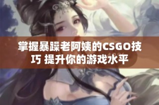 掌握暴躁老阿姨的CSGO技巧 提升你的游戏水平