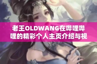 老王OLDWANG在哔哩哔哩的精彩个人主页介绍与视频分享