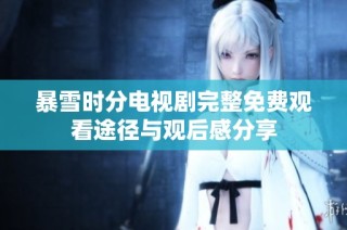 暴雪时分电视剧完整免费观看途径与观后感分享