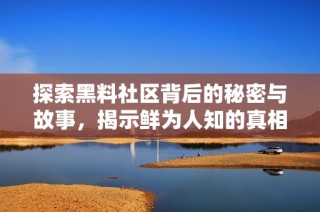 探索黑料社区背后的秘密与故事，揭示鲜为人知的真相